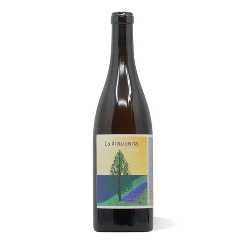 Dolores Cabrera Valle de la Orotava Blanco Araucaria 2022