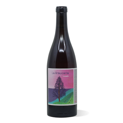 Dolores Cabrera Valle de la Orotava Rosado Araucaria 2022