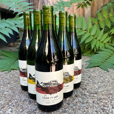 Scar of the Sea x Dedalus Central Coast 6 Pack