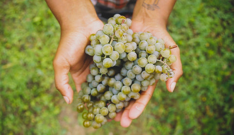 These 7 Unique Grape Varieties Make Amazing Wine