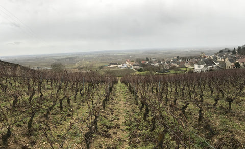 Domaine Marquis D'Angerville